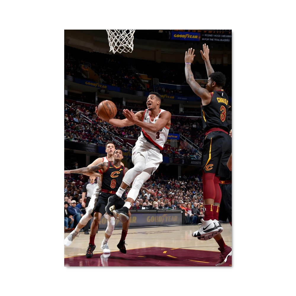 Poster mccollum basketball